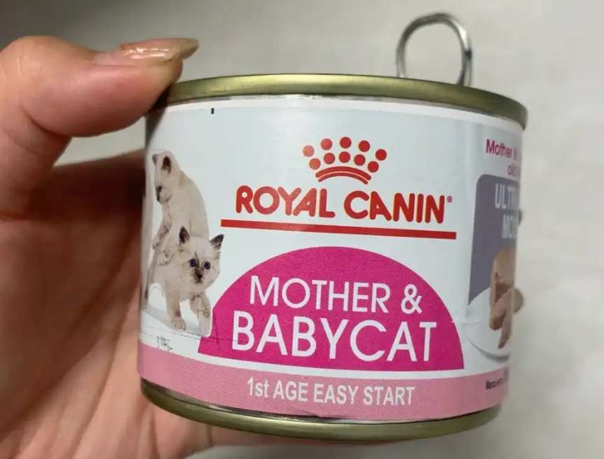 狗罐頭價格：大型犬飼主必看！大容量經濟裝省錢攻略