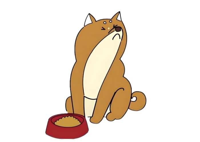 狗 狗 食慾 不 好