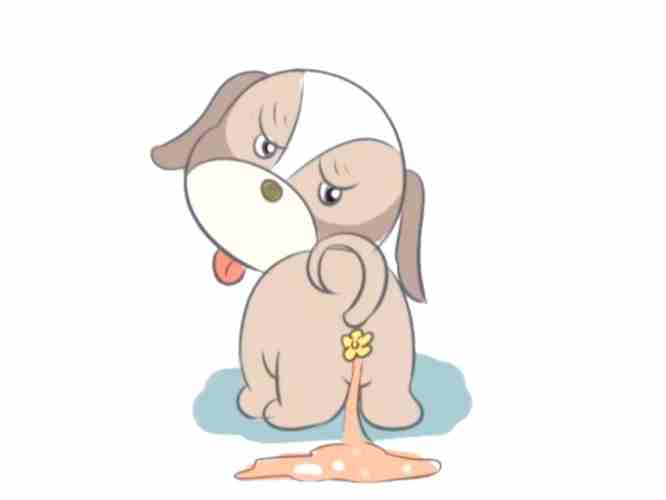 狗狗拉肚子的原因 狗狗拉肚子的原因