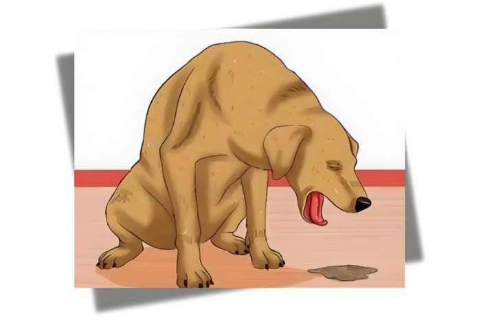 狗狗嘔吐原因