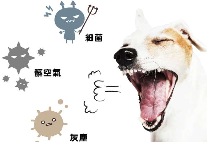 狗狗咳嗽嘔吐 狗狗咳嗽嘔吐