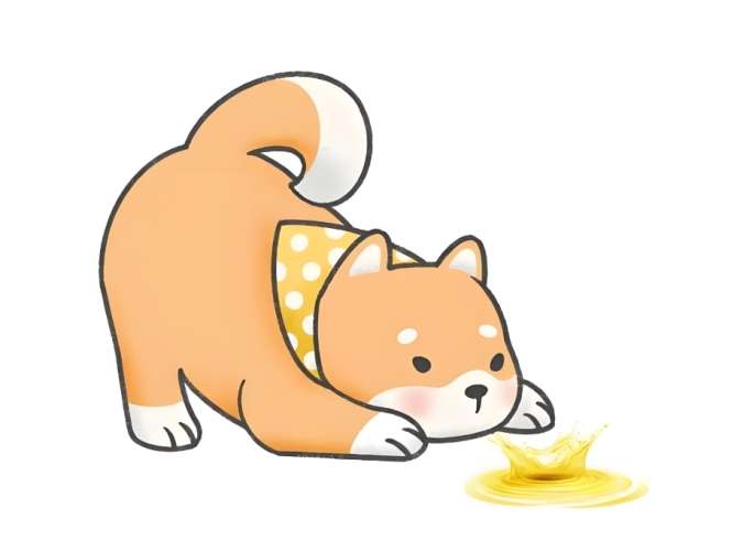 狗狗嘔吐