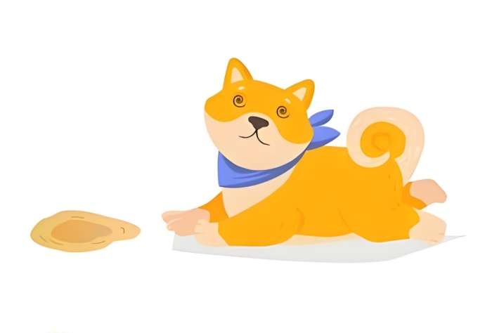 狗狗嘔吐怎麼辦