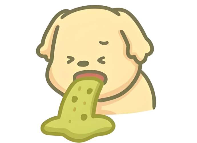 狗狗嘔吐顏色