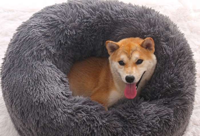 狗窩diy